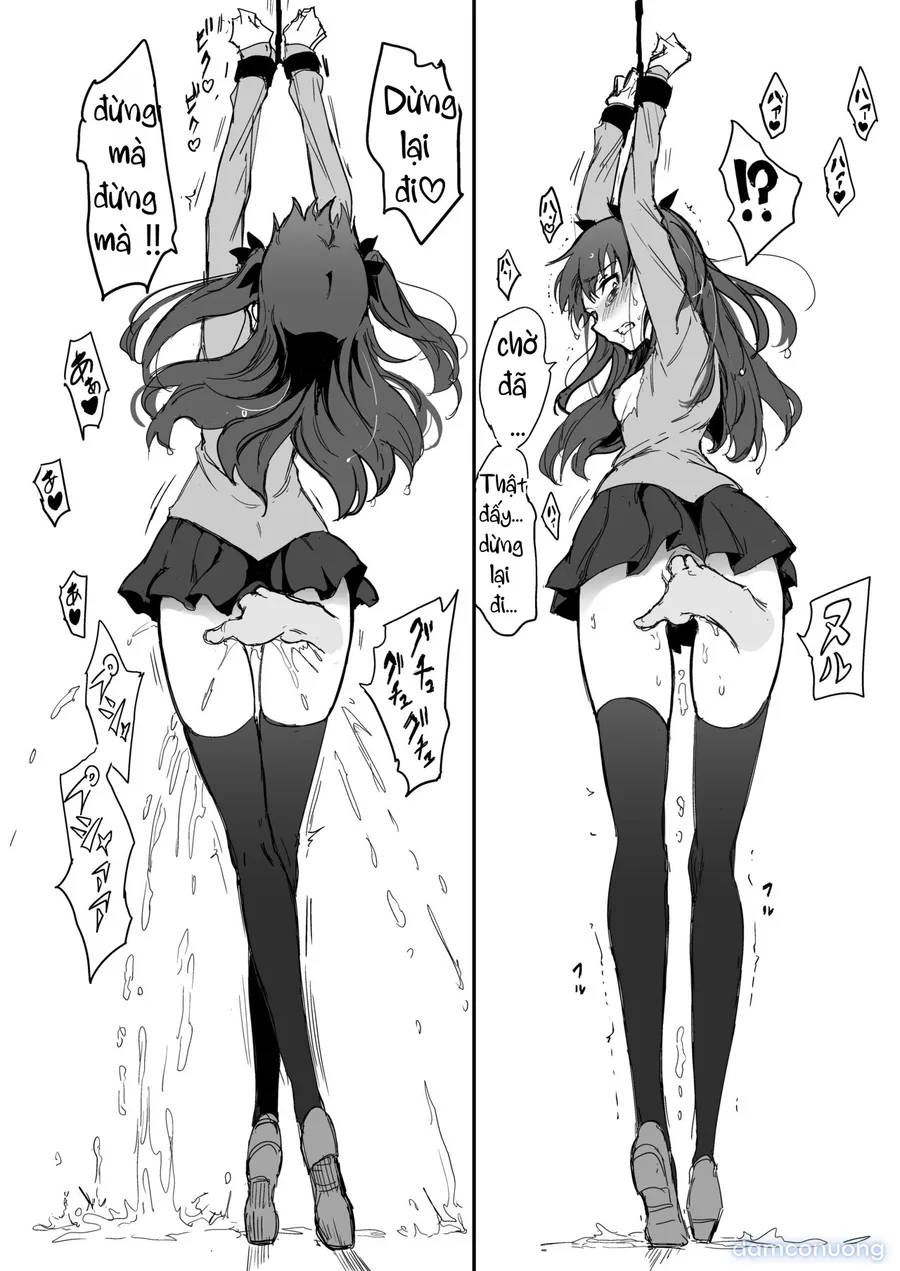Tosaka Shimai Ryoujoku Rin Hen -after- 