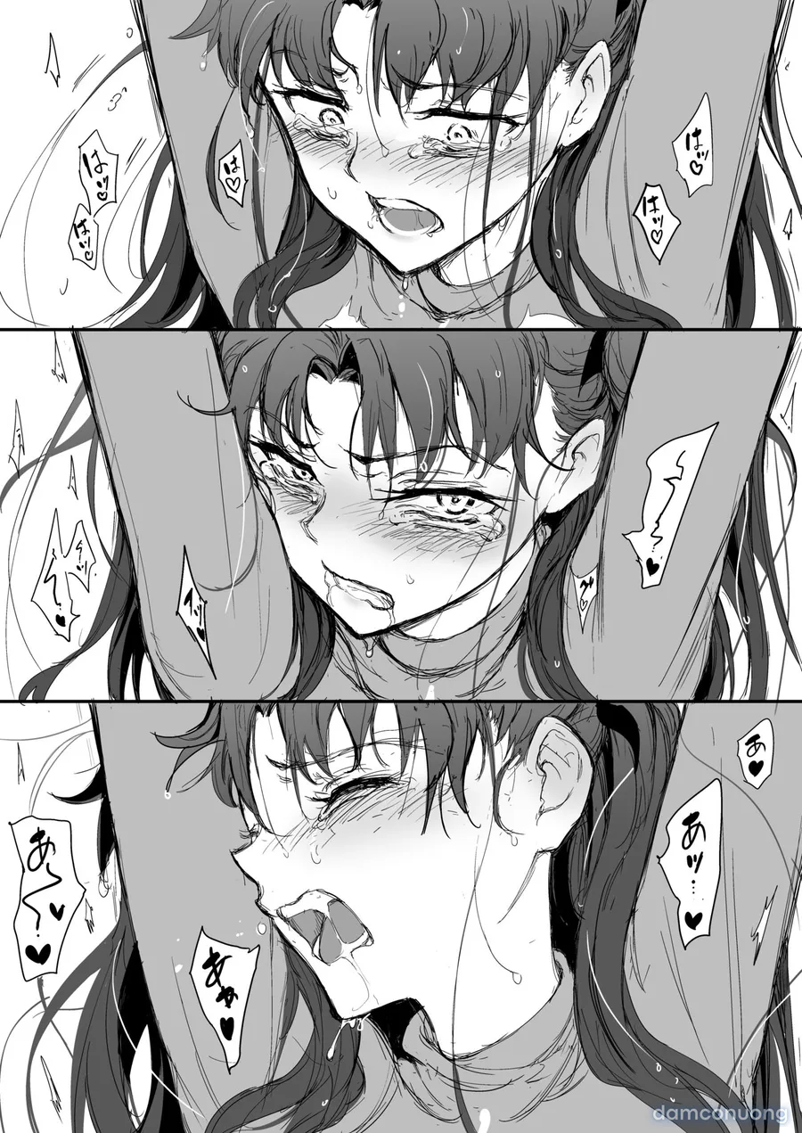Tosaka Shimai Ryoujoku Rin Hen -after- 