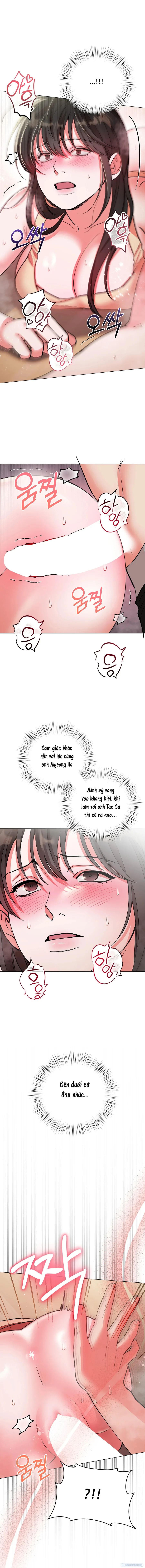 Tôi Giả Vờ Bị Thôi Miên 