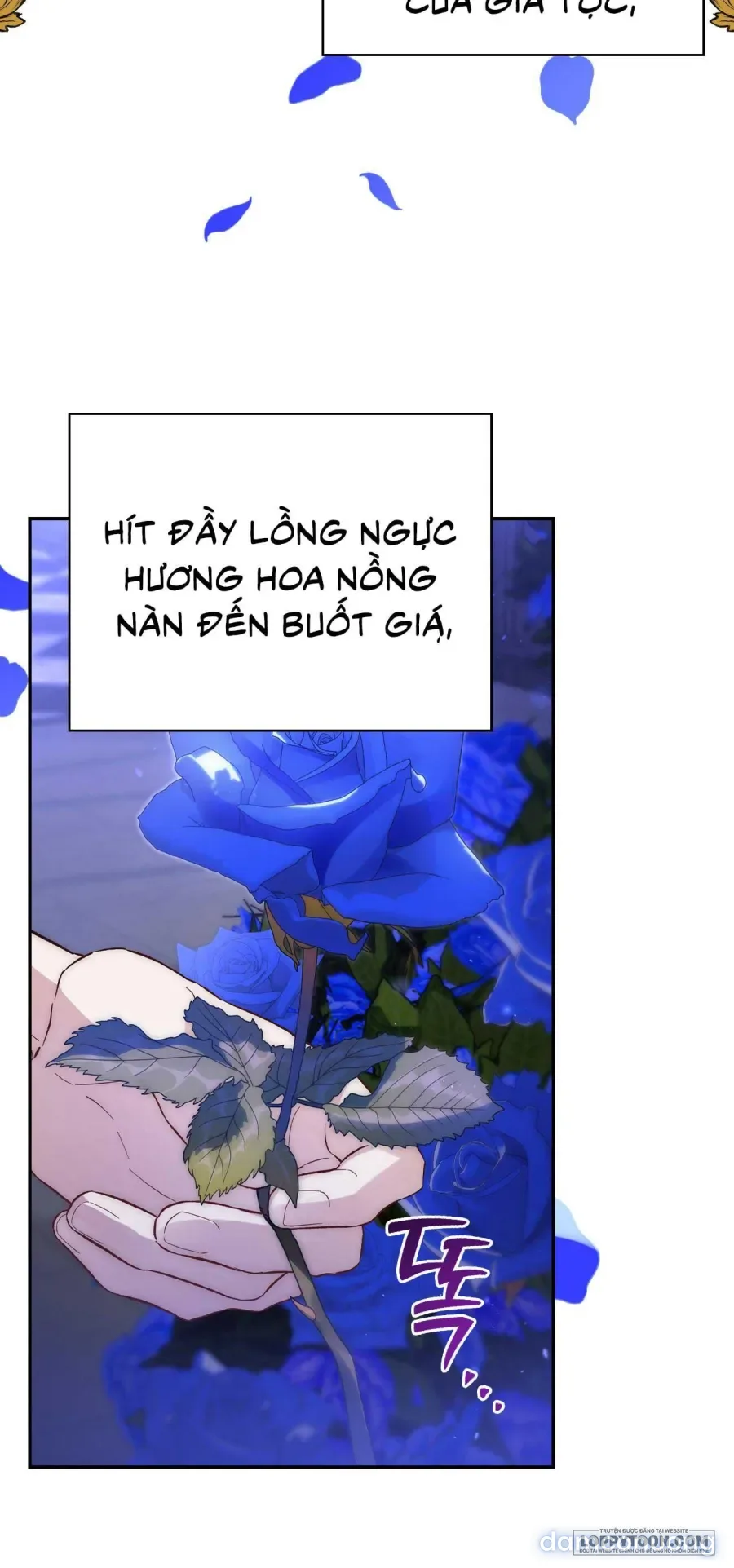 Ủa, Sao Thể Loại Này Khác Biệt Quá Vậy? 