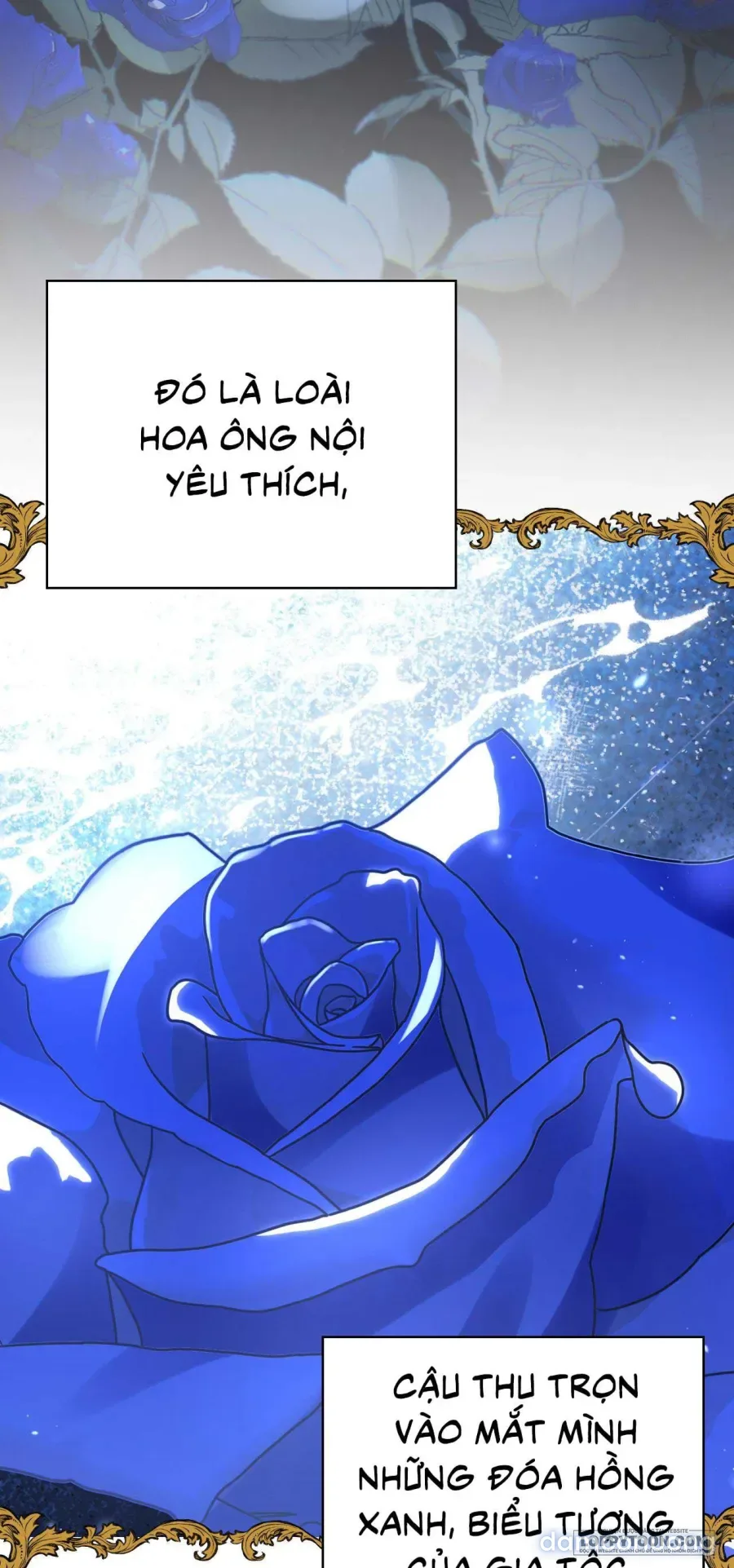 Ủa, Sao Thể Loại Này Khác Biệt Quá Vậy? 