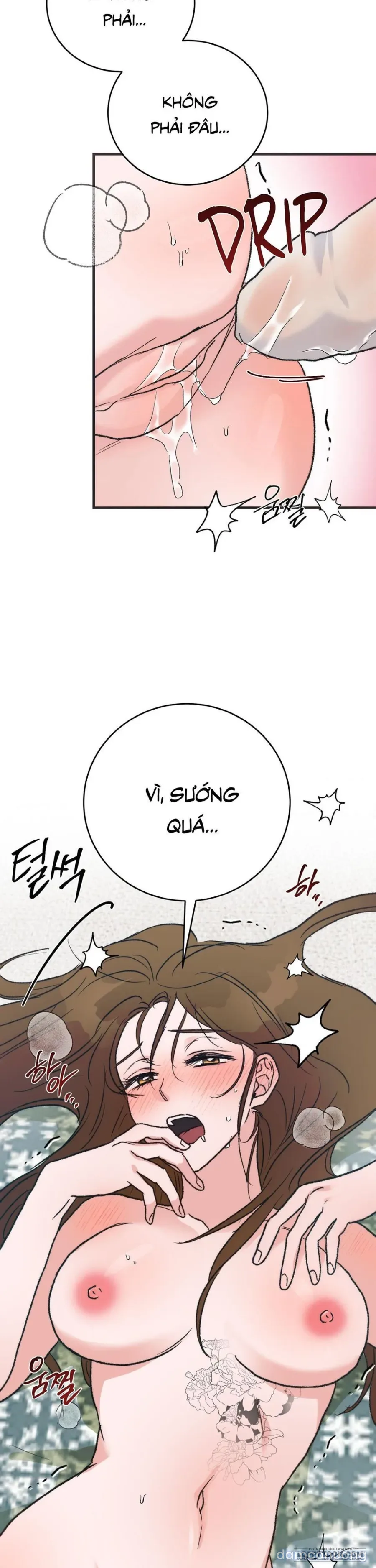 [KHÔNG CHE] Khúc Hát Giữa Mùa Hè 