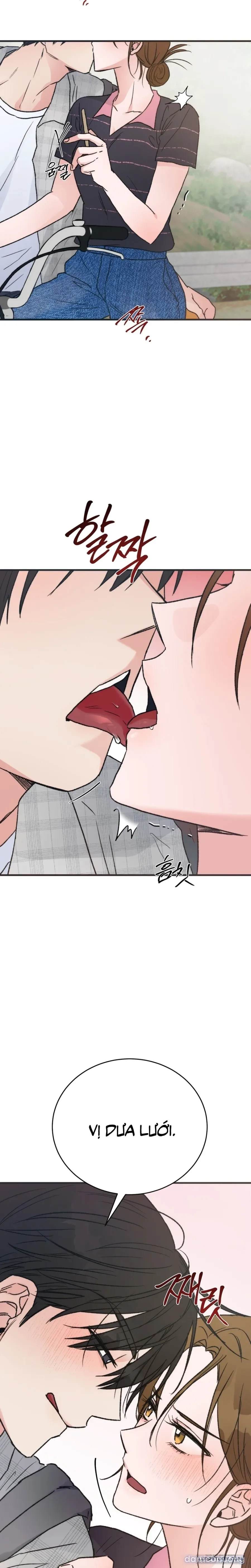 [KHÔNG CHE] Khúc Hát Giữa Mùa Hè 