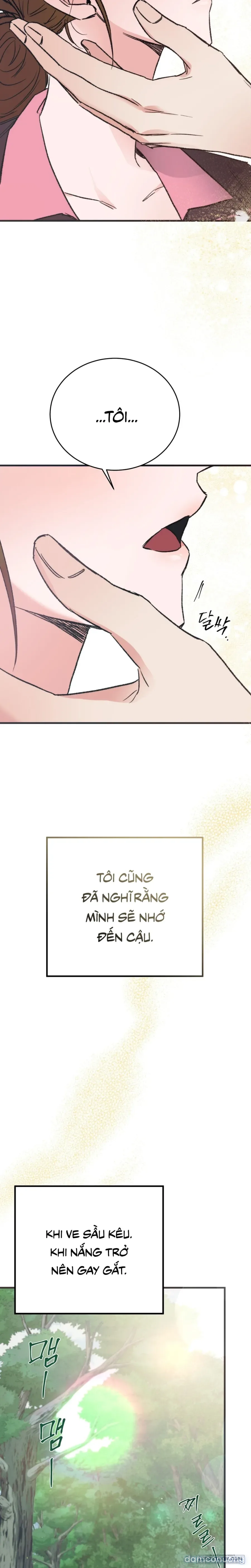 [KHÔNG CHE] Khúc Hát Giữa Mùa Hè 