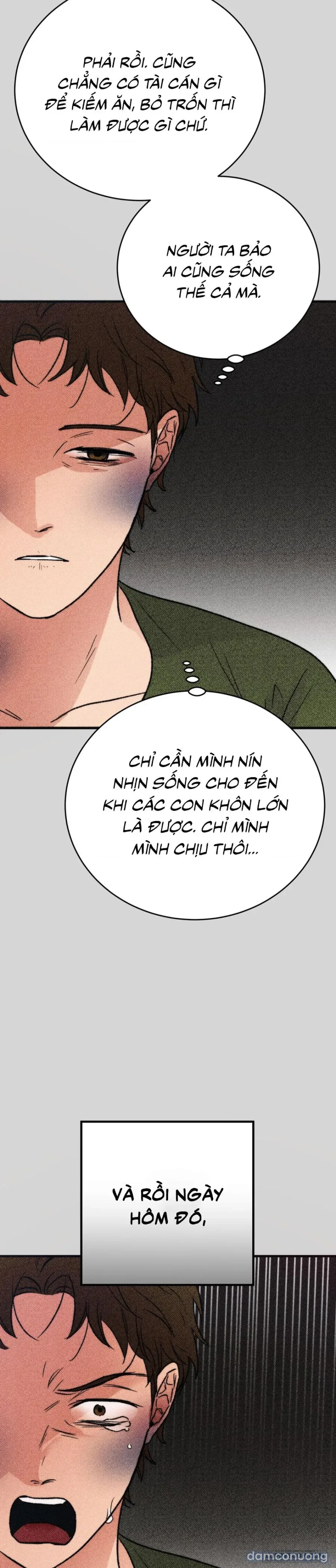 [KHÔNG CHE] Khúc Hát Giữa Mùa Hè 