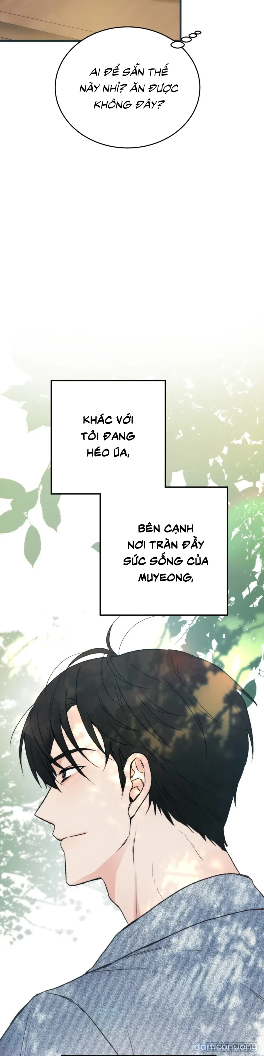 [KHÔNG CHE] Khúc Hát Giữa Mùa Hè 