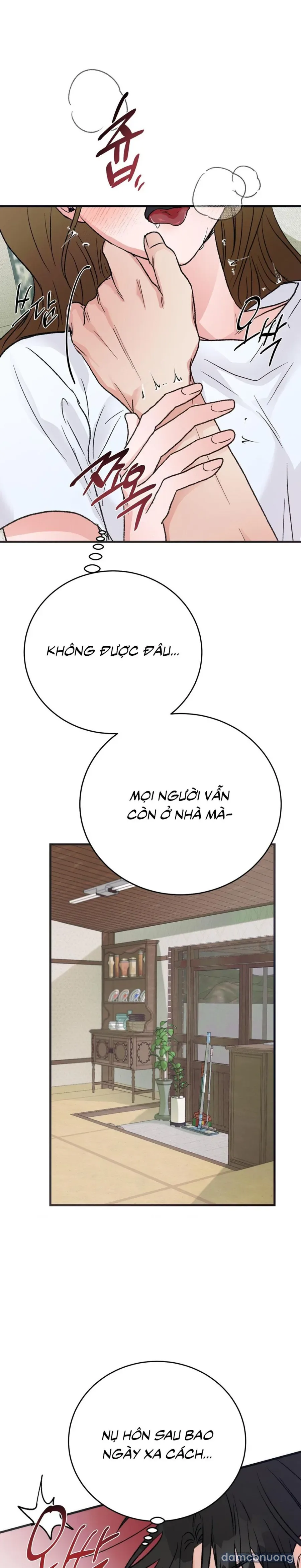 [KHÔNG CHE] Khúc Hát Giữa Mùa Hè 