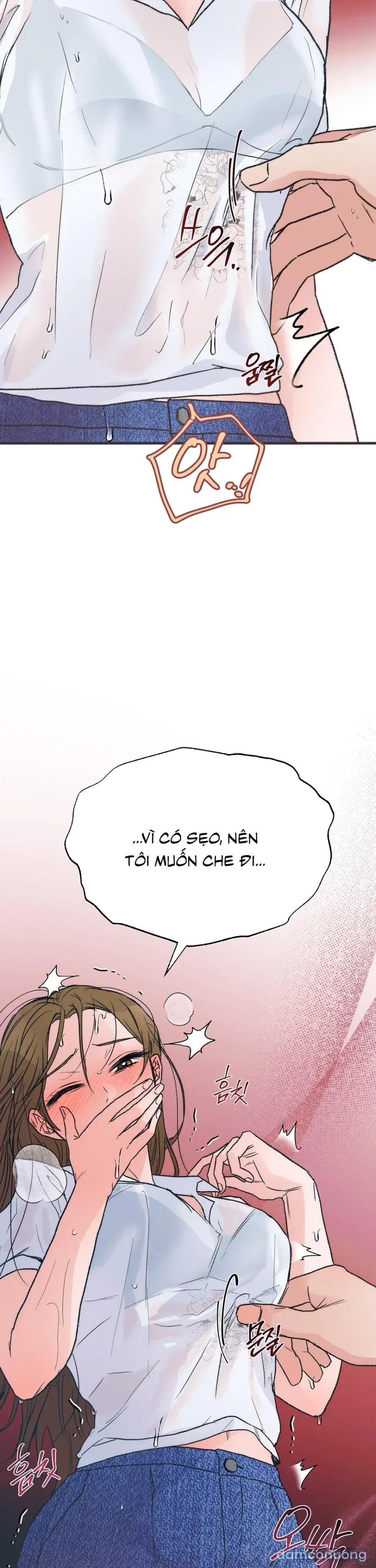 [KHÔNG CHE] Khúc Hát Giữa Mùa Hè 