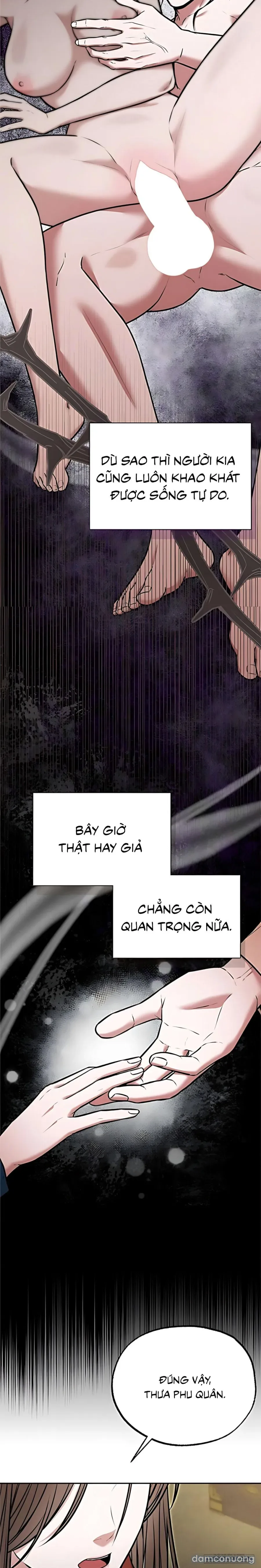 Giả Vờ Không Biết Phu Quân Đã Thay Đổi 