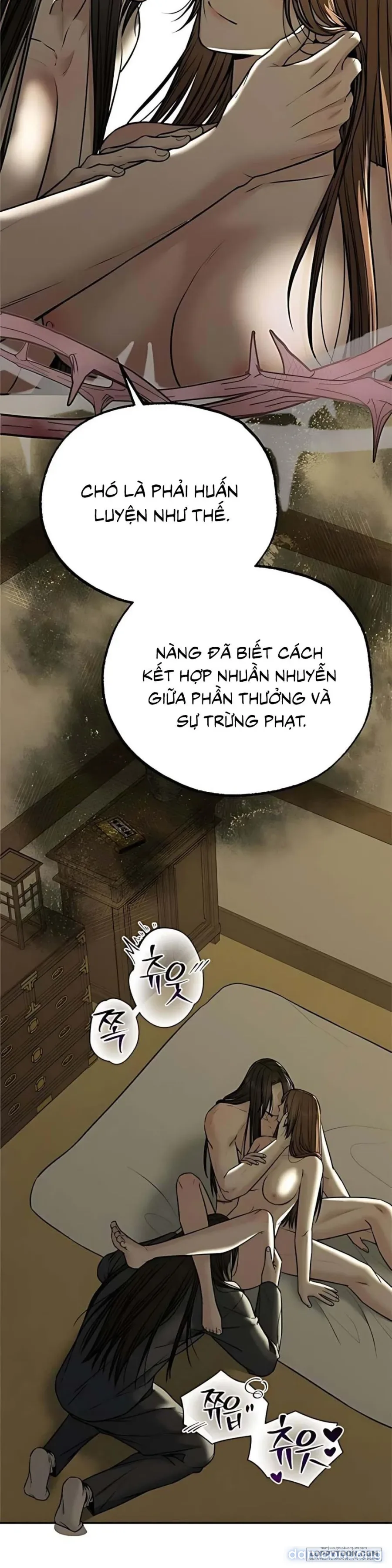 Giả Vờ Không Biết Phu Quân Đã Thay Đổi 