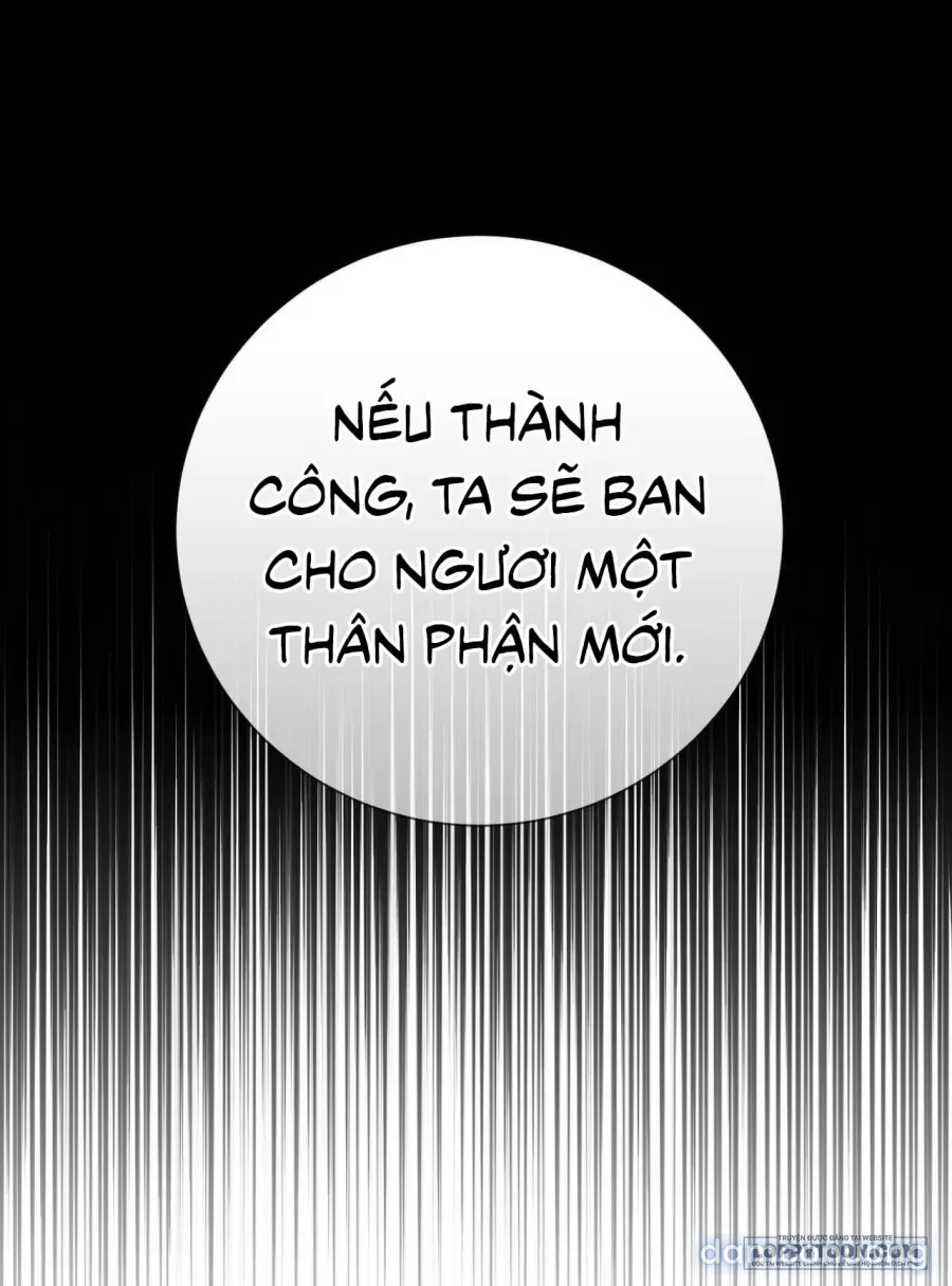 Chồng Tôi Mãi Không Chịu Chết 