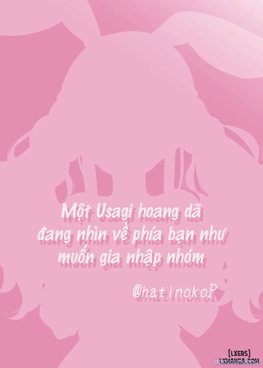 Một Usagi hoang dã đang nhìn về phía bạn như muốn gia nhập nhóm 