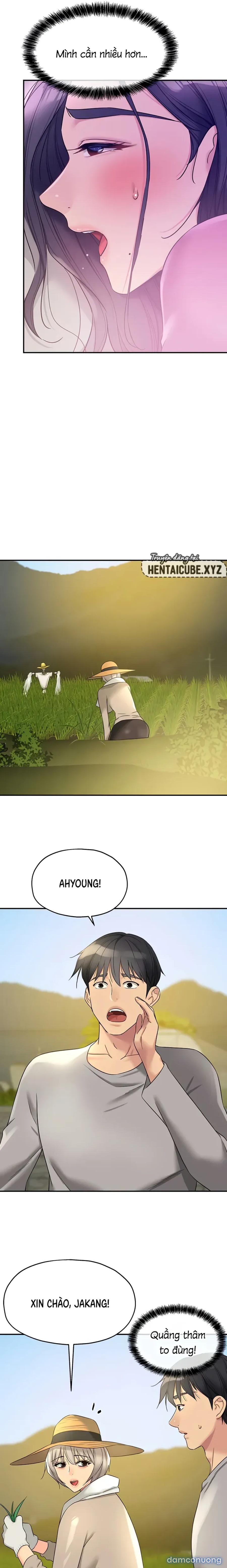 Lỗ đã mở 
