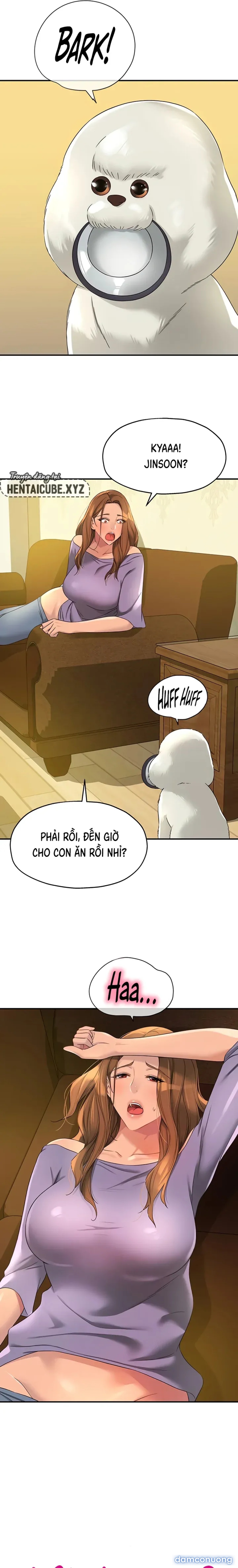 Lỗ đã mở 