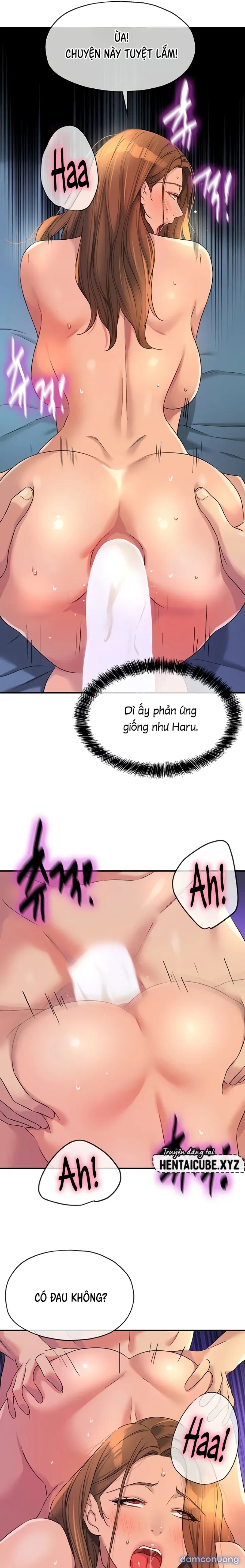 Lỗ đã mở 