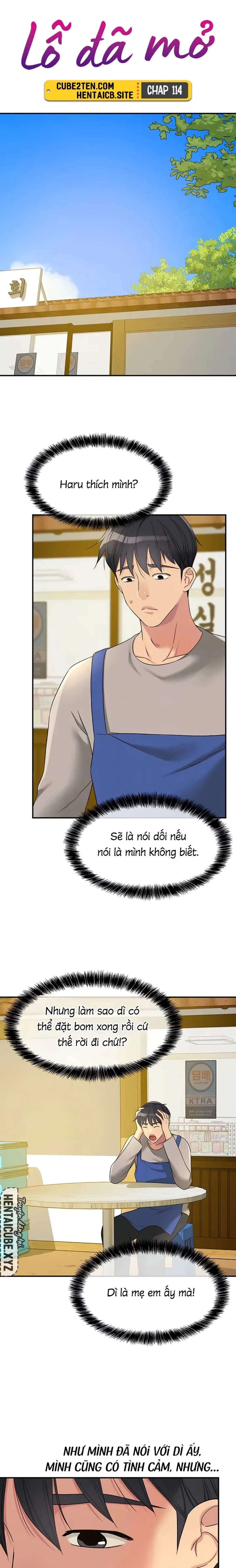 Lỗ đã mở 