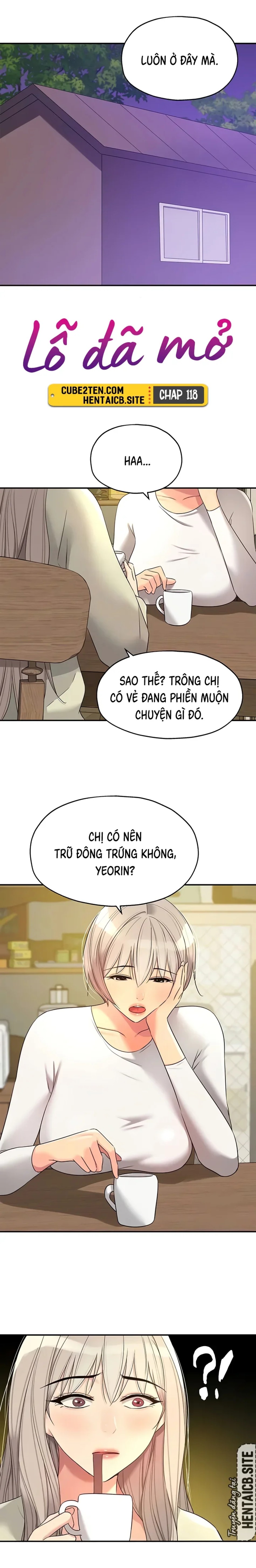 Lỗ đã mở 