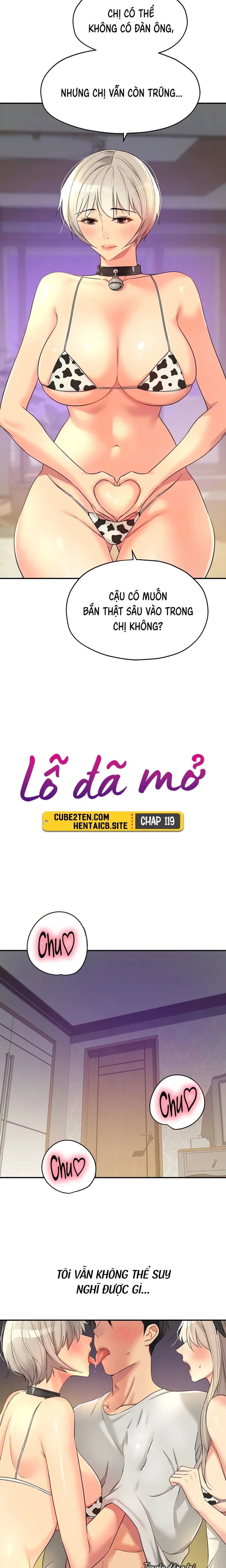 Lỗ đã mở 