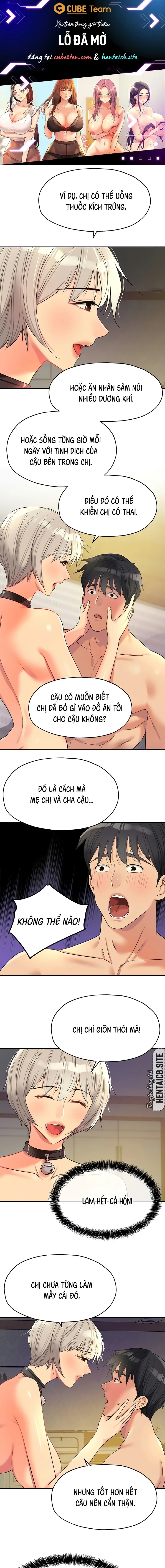 Lỗ đã mở 