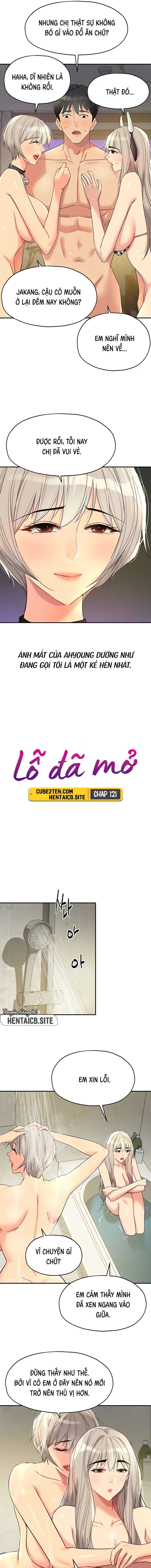 Lỗ đã mở 