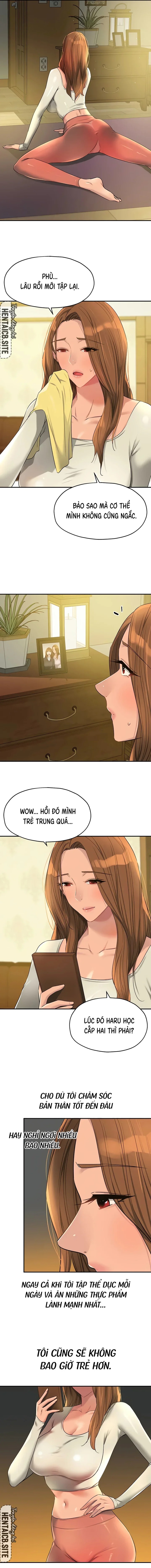 Lỗ đã mở 