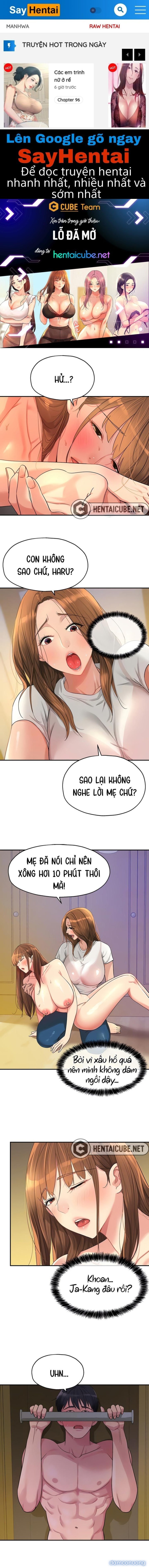 Lỗ đã mở 