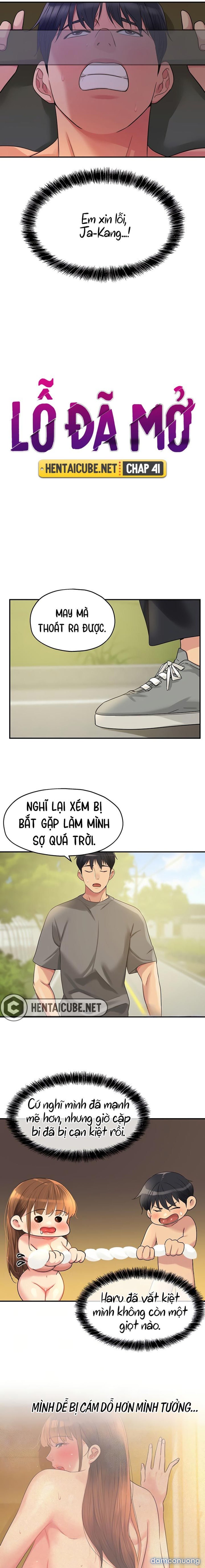 Lỗ đã mở 