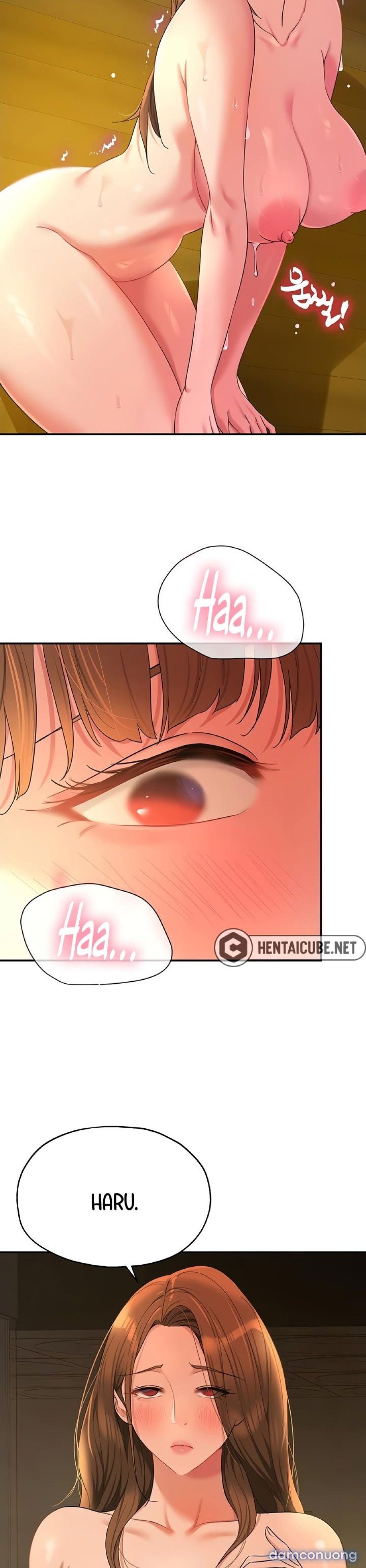 Lỗ đã mở 