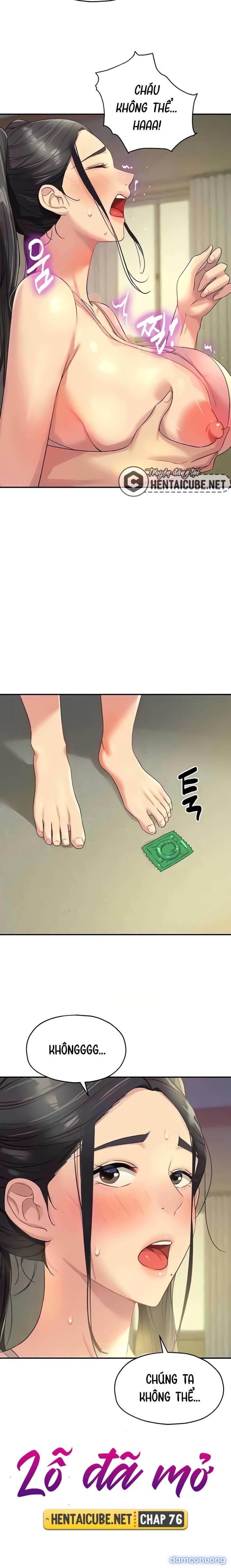 Lỗ đã mở 