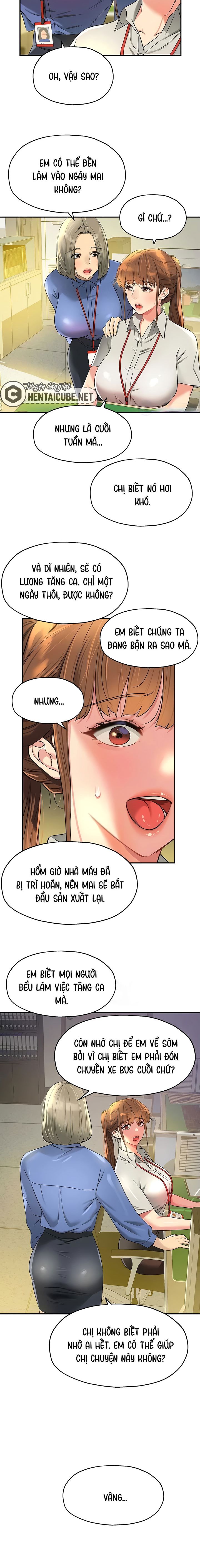 Lỗ đã mở 