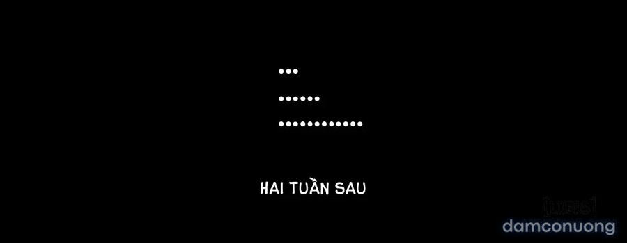 Tương Tính Thảo Phạt 