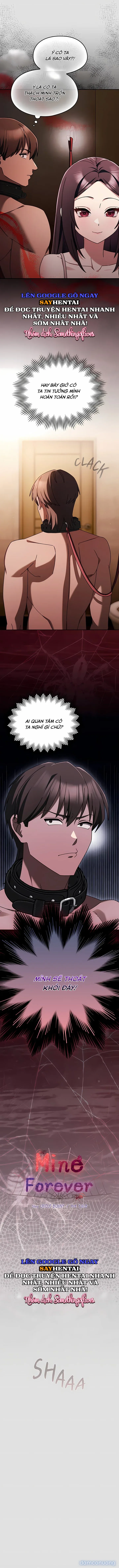 Chiếm Hữu Đời Đời 