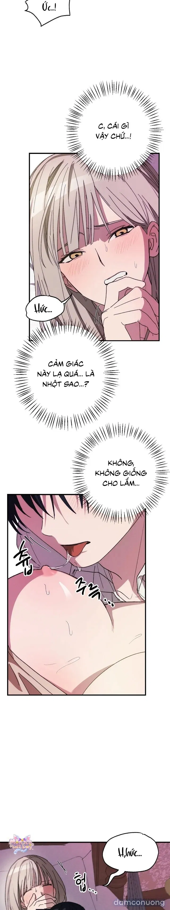 Lời Tuyên Thệ Của Loài Sói 