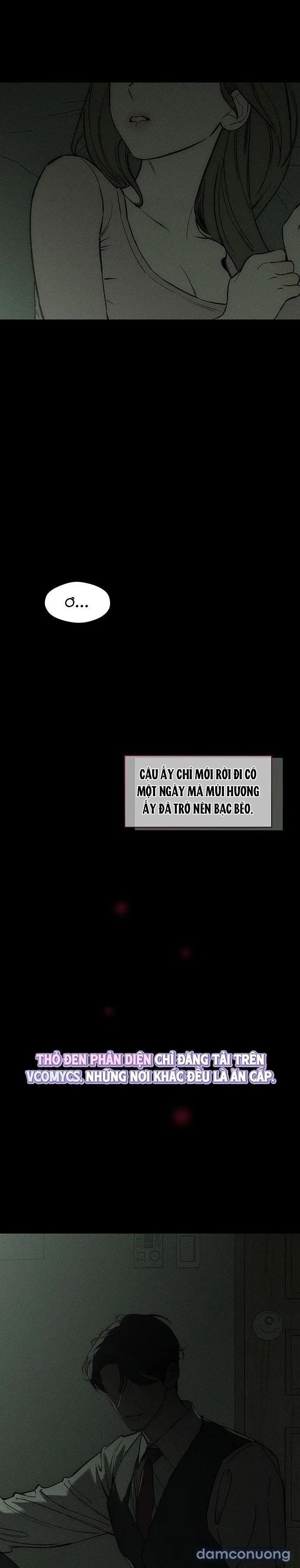 Lệ Vương Trên Cánh Hoa Tàn 