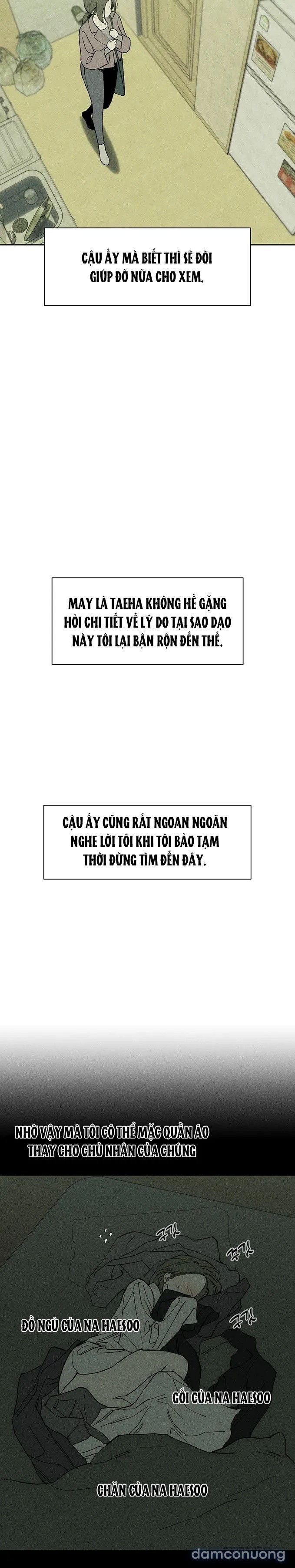 Lệ Vương Trên Cánh Hoa Tàn 