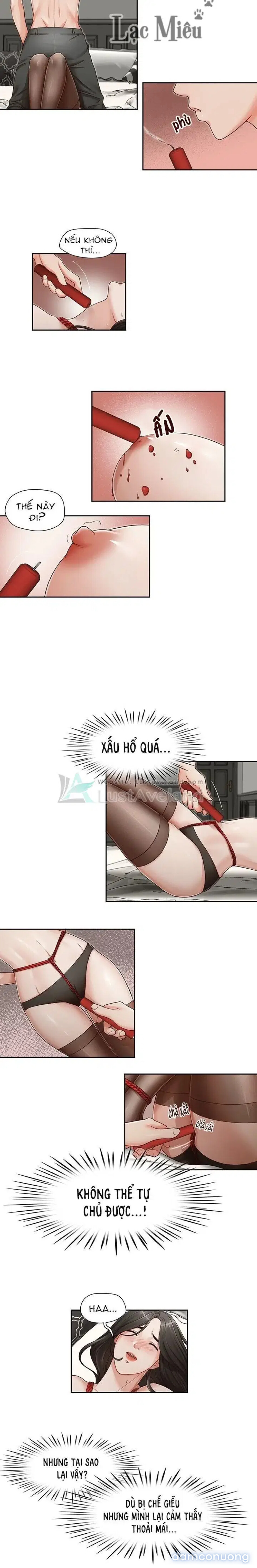 Thư ký bạo dâm của anh trai tôi 