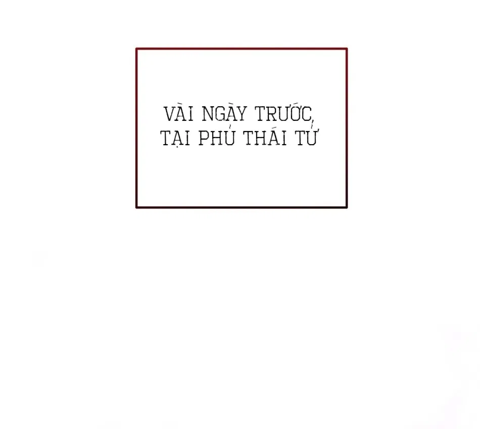 [18+] Quý Phu Nhân Thanh Tao 