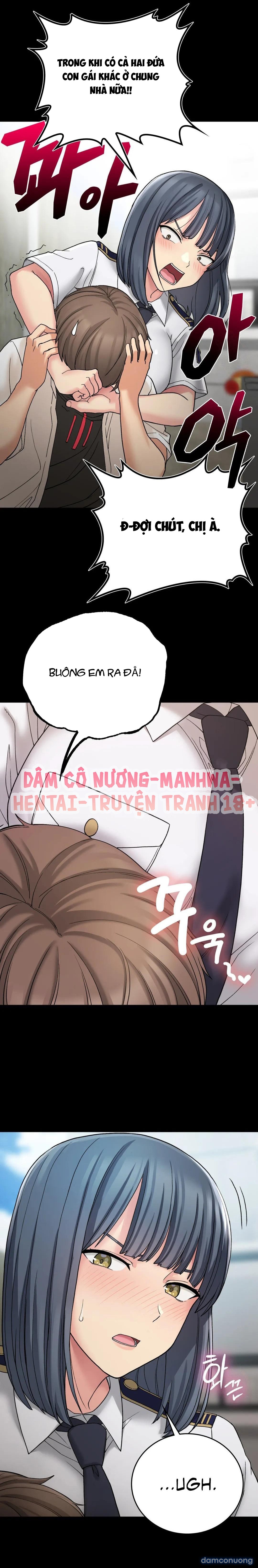 Cuộc Sống Nơi Thôn Quê 