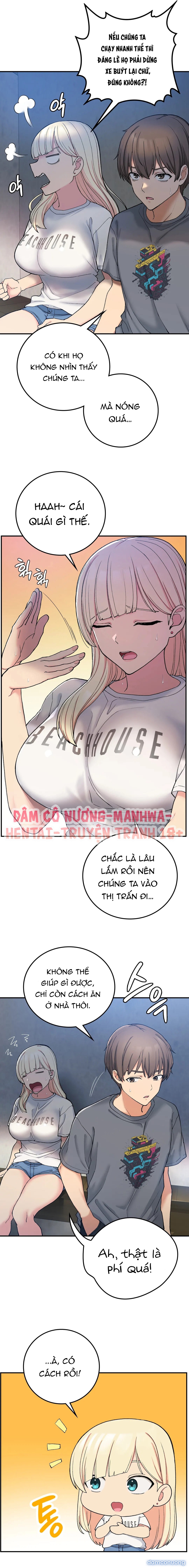 Cuộc Sống Nơi Thôn Quê 