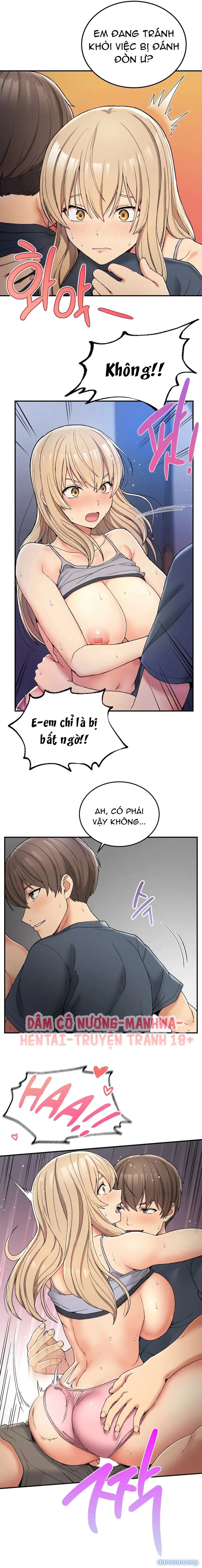Cuộc Sống Nơi Thôn Quê 
