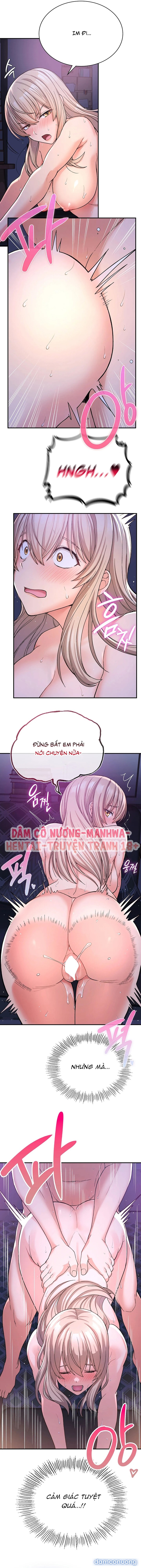 Cuộc Sống Nơi Thôn Quê 