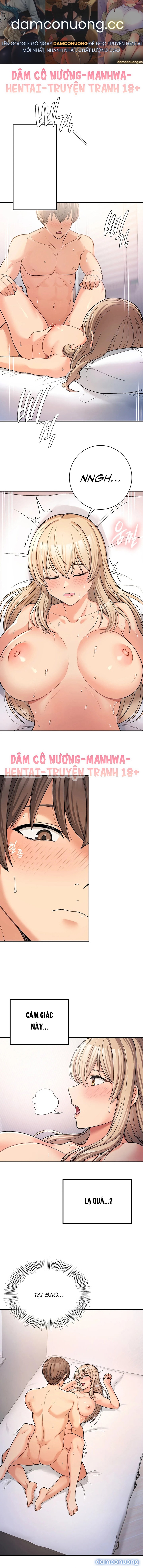 Cuộc Sống Nơi Thôn Quê 