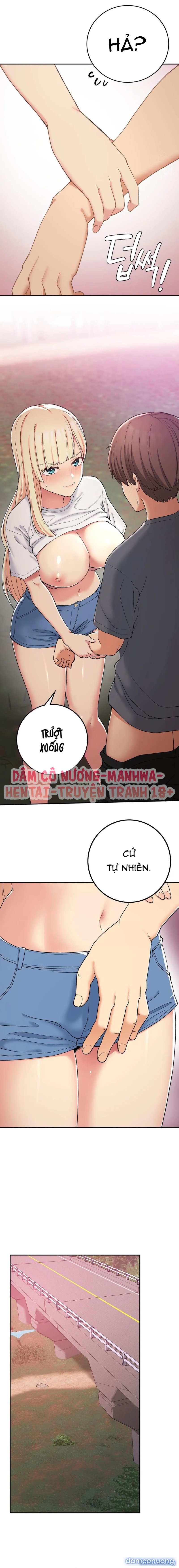Cuộc Sống Nơi Thôn Quê 