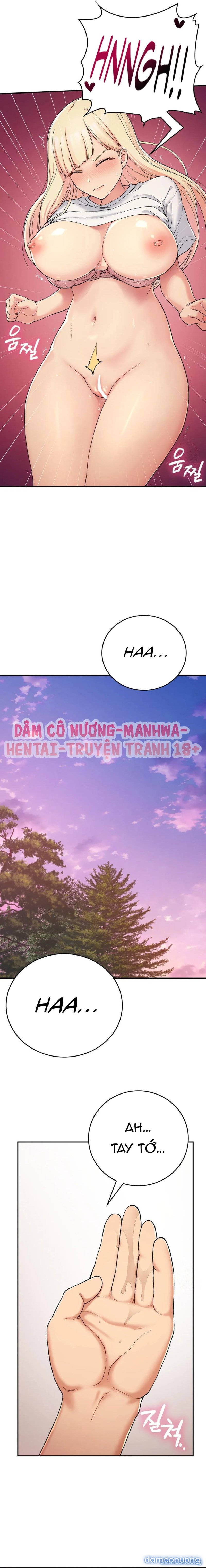 Cuộc Sống Nơi Thôn Quê 