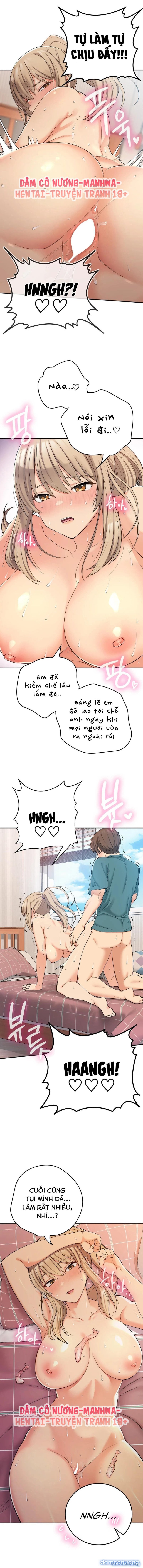 Cuộc Sống Nơi Thôn Quê 