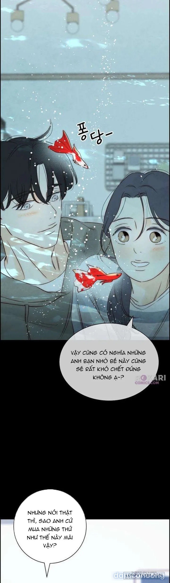 Chưa Từng Chạm Tới Em 
