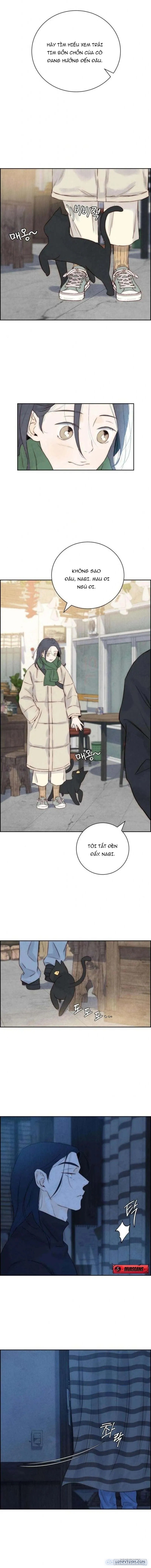 Chưa Từng Chạm Tới Em 