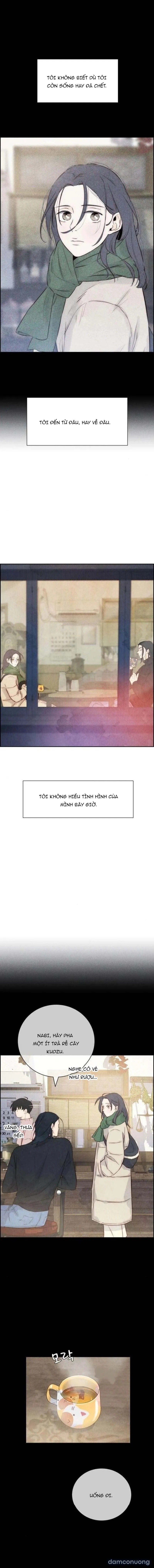Chưa Từng Chạm Tới Em 