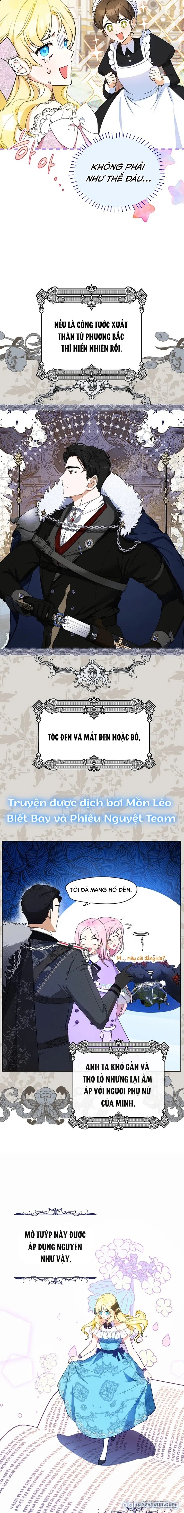 Hình Như Tôi Đã Xuyên Vào Cuốn Tiểu Thuyết Nào Đó 