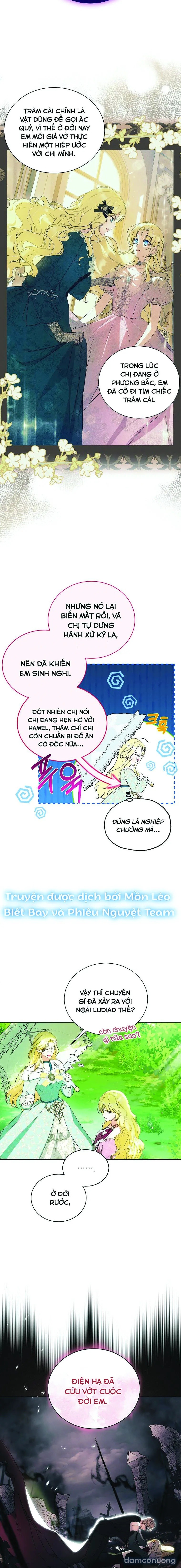 Hình Như Tôi Đã Xuyên Vào Cuốn Tiểu Thuyết Nào Đó 